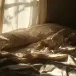 Pościel: czego naprawdę musisz wiedzieć, zanim wydasz pieniądze