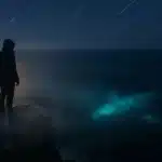 Podróżnik w czasie z 2858 roku na TikToku: pięć przepowiedni, które zelektryzowały internet