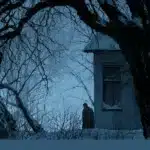 Sztuczka z drzewem, która może uchronić twój dom przed włamaniem