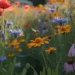 Dziki ogród chaos gardening z makami, chabrami i nagietkami rosnącymi swobodnie w polskim ogrodzie latem