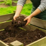 Kompost w ogrodzie błąd, który popełnia 9 na 10 ogrodników i sprawia, że nie działa