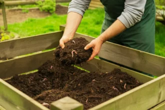 Kompost w ogrodzie błąd, który popełnia 9 na 10 ogrodników i sprawia, że nie działa