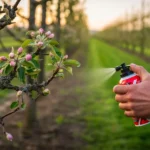Mało znana w Polsce technika nawożenia jabłoni przed kwitnieniem prawie nikt o tym nie wie