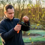 Marzec w ogrodzie 2026 5 prac, których nie możesz odkładać — ostatni dzwonek przed wiosną