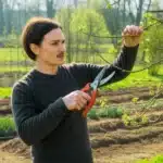 Ogrodnik przycinający drzewa owocowe w ostatnim tygodniu marca przed rozpoczęciem wegetacji