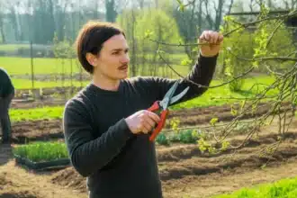 Ogrodnik przycinający drzewa owocowe w ostatnim tygodniu marca przed rozpoczęciem wegetacji