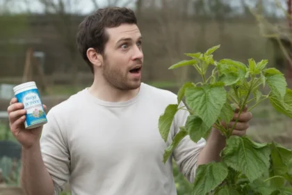 Puder dla niemowląt w ogrodzie Ten trik odstrasza szkodniki lepiej niż chemia