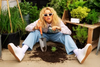 Technika przycinania róż z TikToka, o której mówi całe polskie ogrodniczne TikTok