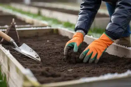 Ten moment w marcu decyduje o plonach co zrobić w ogrodzie przed końcem tygodnia